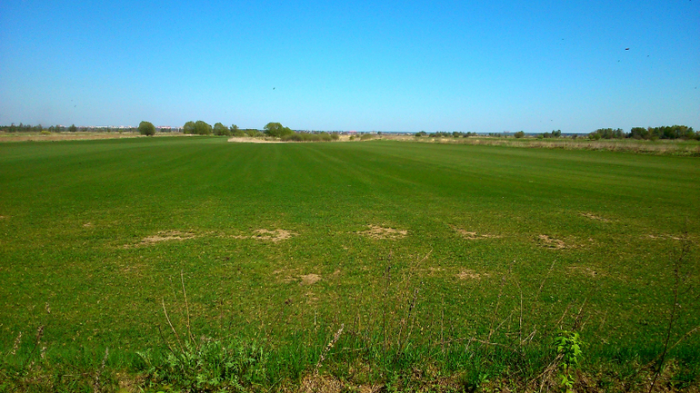 Вдоль Москва реки.