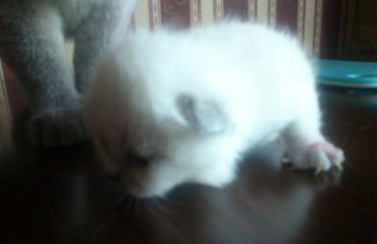 Малышам 2 недельки!