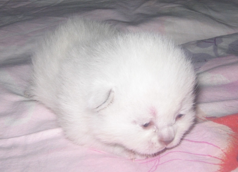 Нам 1 неделя!