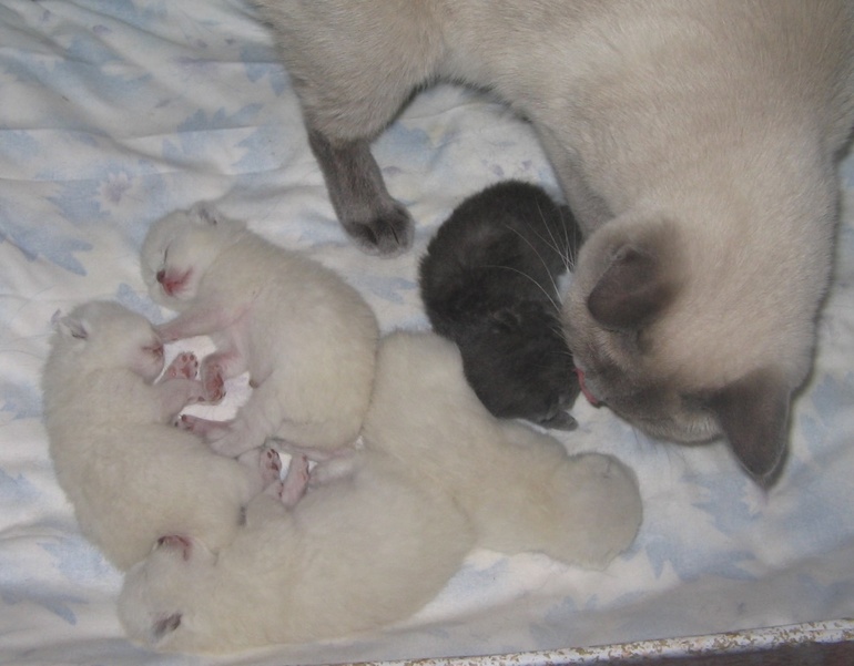 Нам 1 неделя!