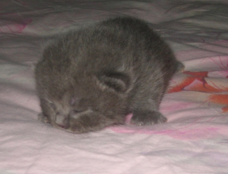 Нам 1 неделя!