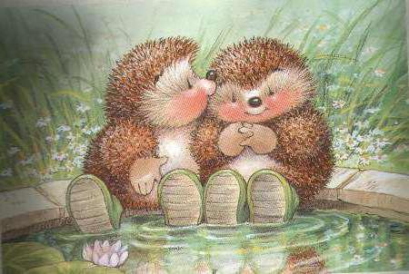 Ежики В Картинках