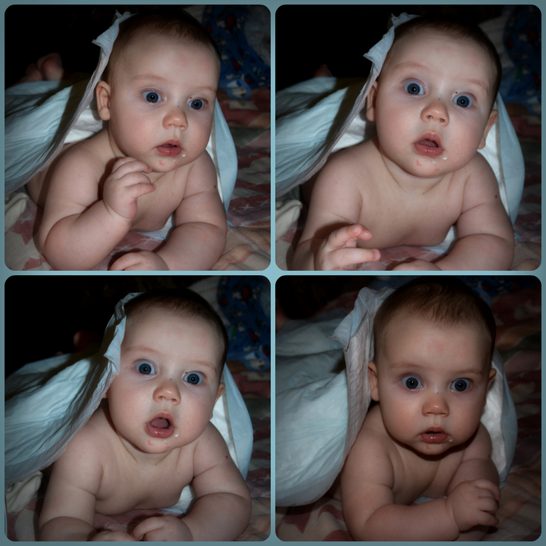 Роберту 5 месяцев!