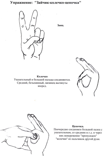 Методика развития «Двигательного IQ» по Доману. Развитие межполушарного взаимодействия.