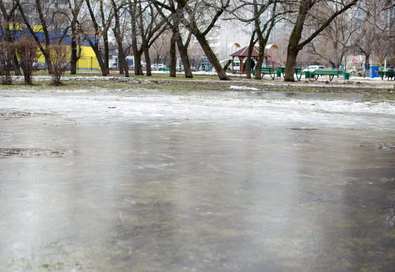 Немножко Сашки