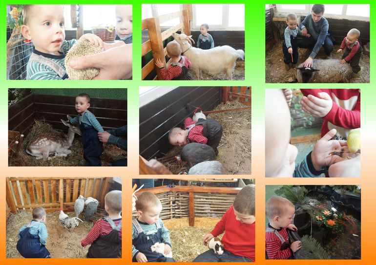 ВДНХ и контактный зоопарк