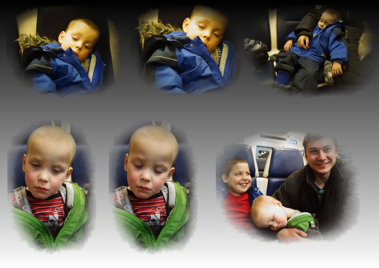 ВДНХ и контактный зоопарк