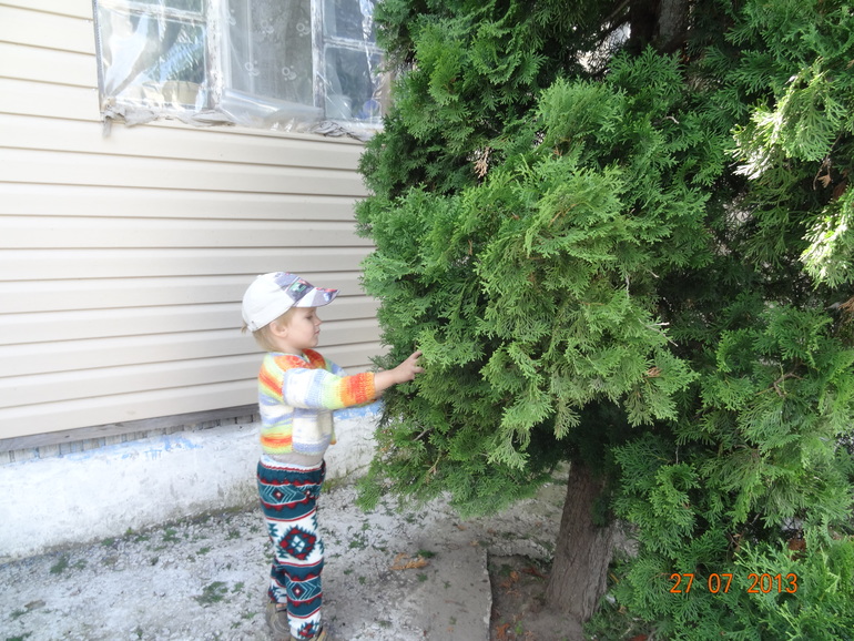 Наш отпуск в Октябрьском Курской обл.