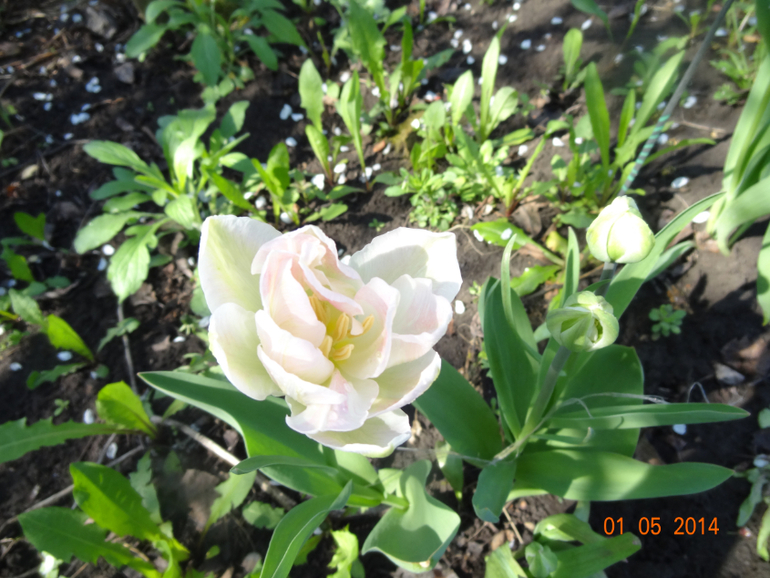 Выходные на даче.