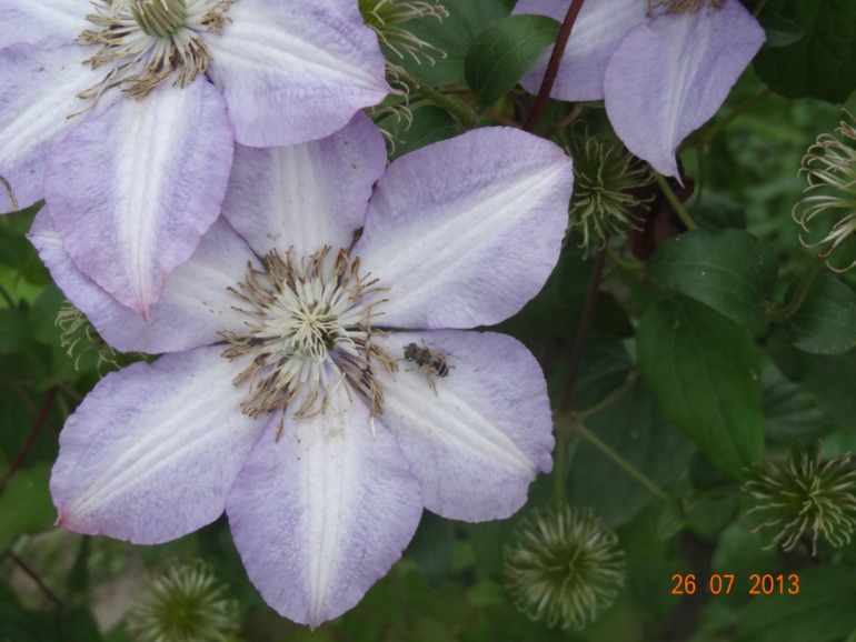 Наш отпуск в Октябрьском Курской обл.