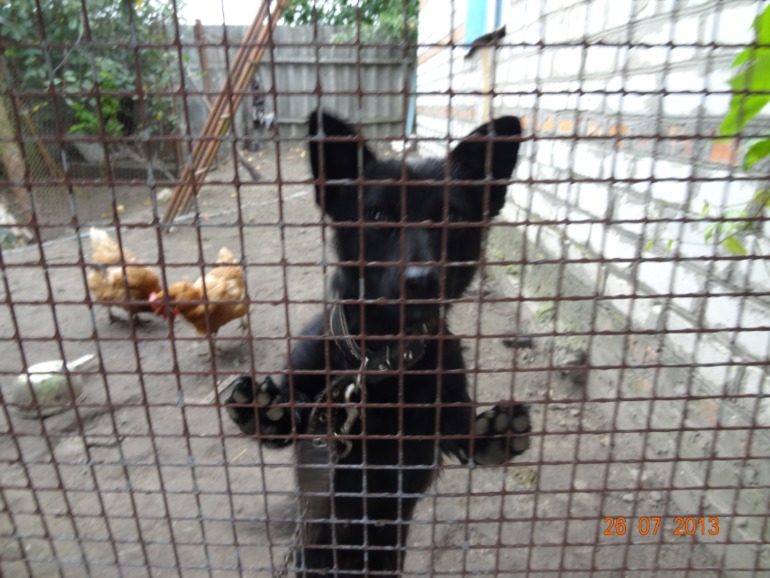 Наш отпуск в Октябрьском Курской обл.