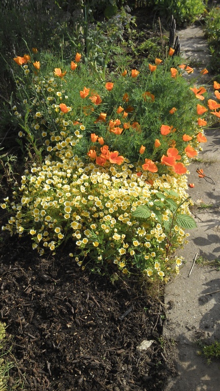 Чудесный день