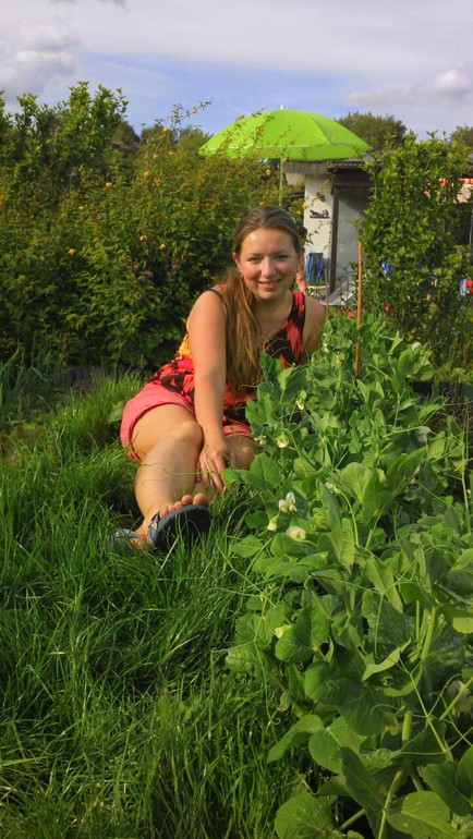 Чудесный день