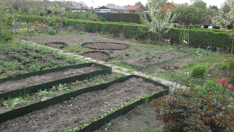 апрельские хлопоты на даче