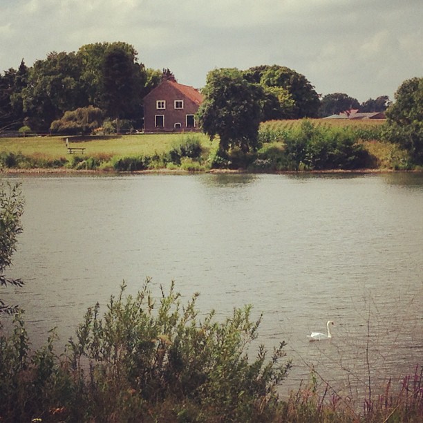 Отчаливаем!