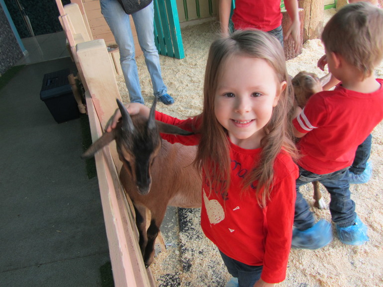 Контактный зоопарк Теплый стан