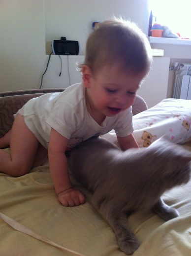 Не добавляются посты с фотками