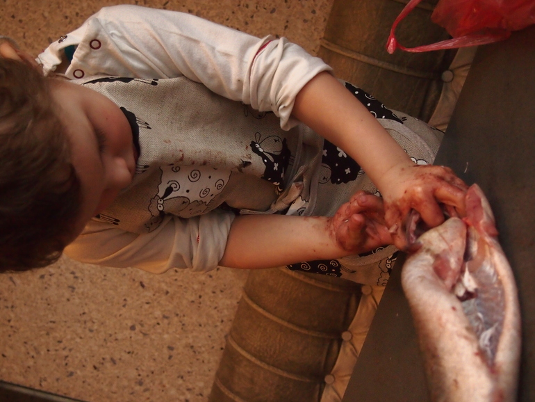 Что с природой, что с погодой?