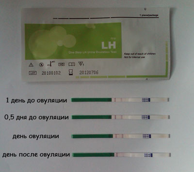 Признаки беременности до задержки