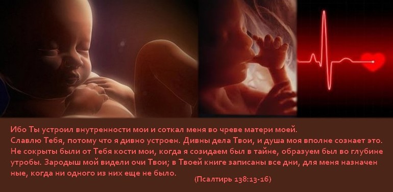 Притча про младенцев в утробе матери