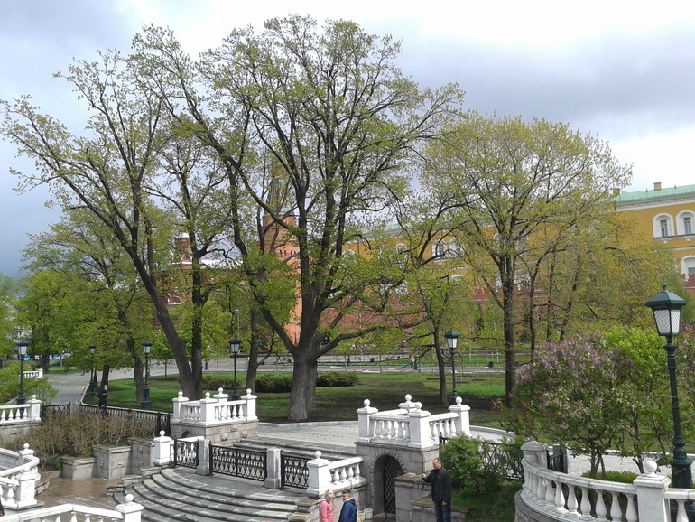 цветы он не дарит девчатам