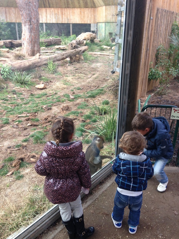 Больничный