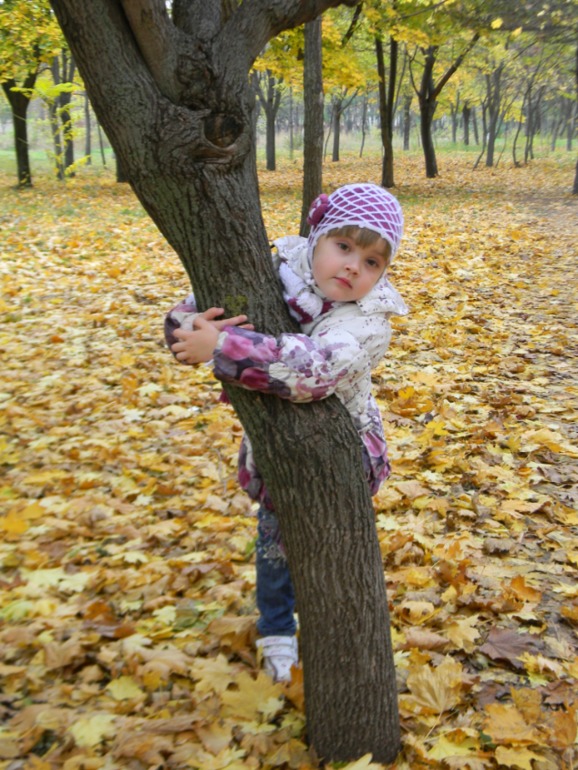 Просто осень.