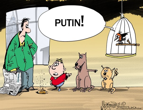 И тут Путин виноват...