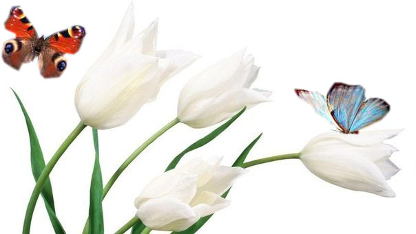 Контрольная  работа № 3