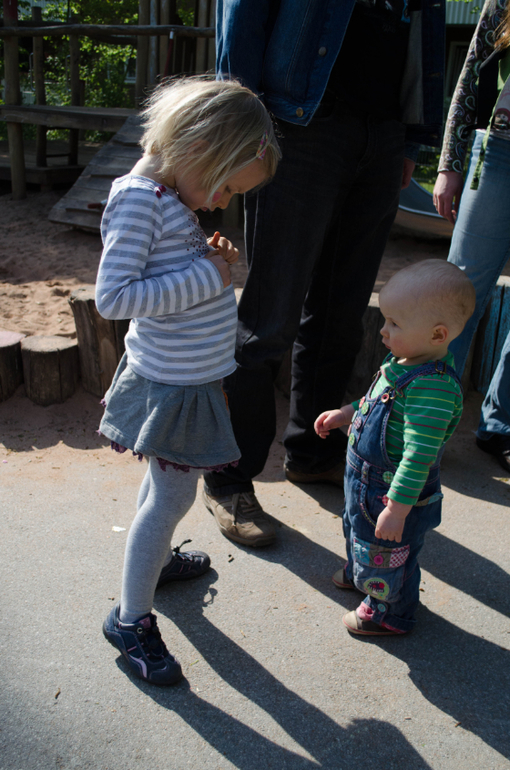 День рождения в картинках