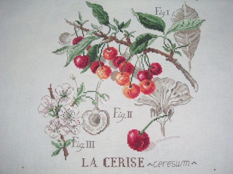 DFEA - ГАЛЕРЕЯ