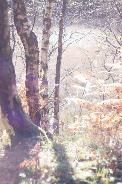 Фокус не ищите