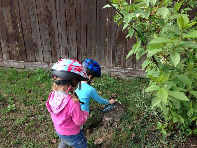 Пенёк желания)