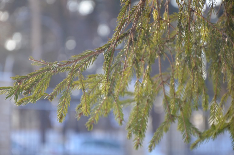 В отпуск с ребенком.