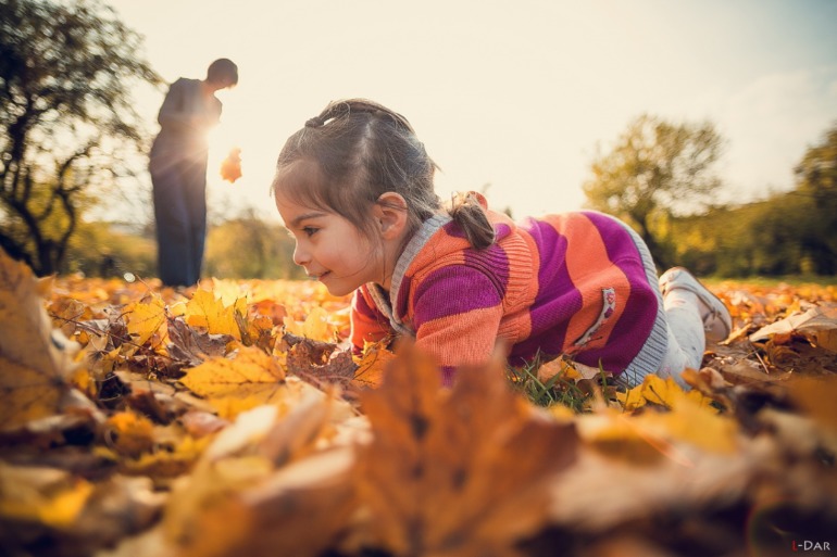 Золотая осень