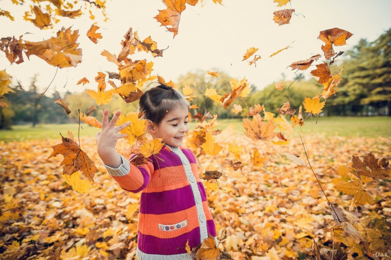 Золотая осень