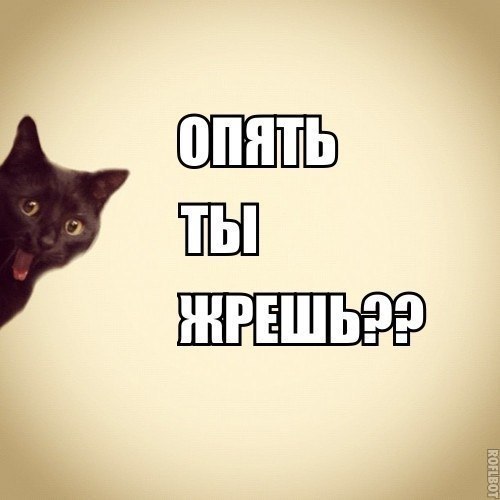 13 апреля.