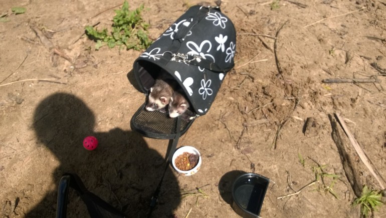 Наши малыши)