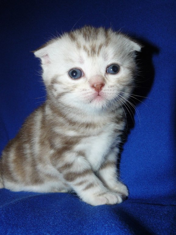 Наши малыши!