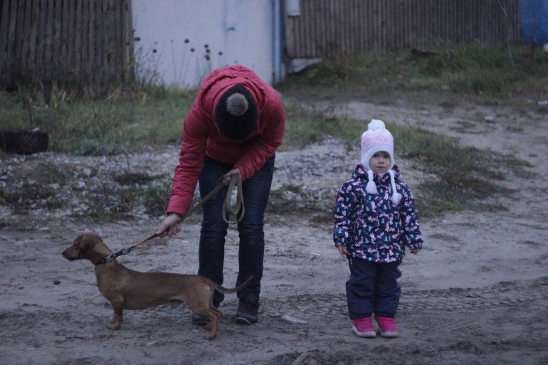 Таксик