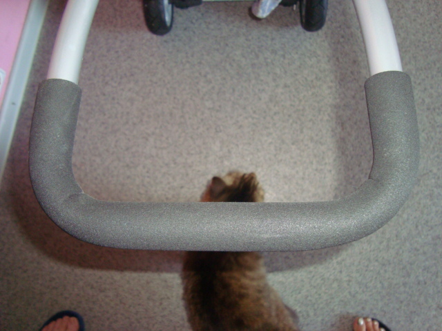 Велосипед Puky 2400 CAT Kipper Ceety S6