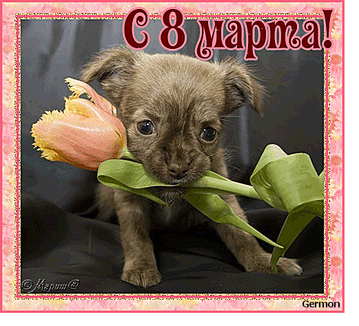 Дорогие ББ ечки с Наступающим С 8 МАРТА!!!!