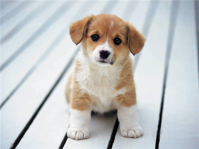 Урок №2 Вырезаем объект