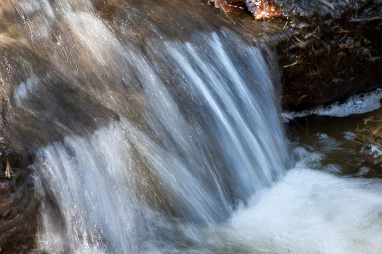 Японский сад