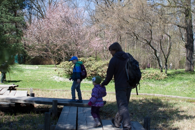Японский сад