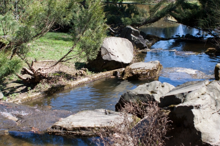 Японский сад