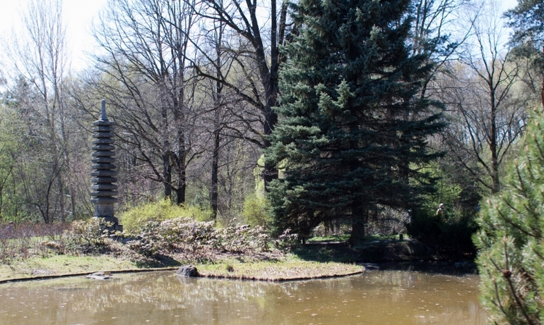 Японский сад