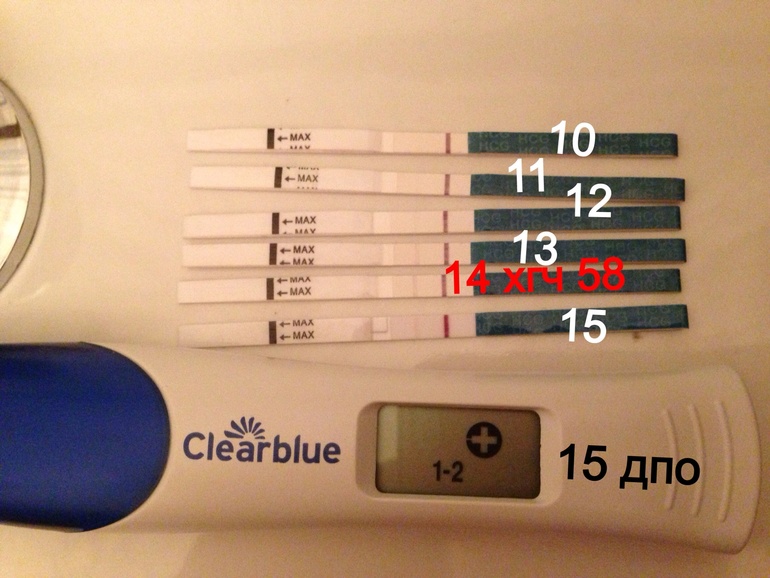 Электронный дпо. 14 ДПО тест. ДПО день после овуляции. Тест и ХГЧ на 14 ДПО. 14 День после овуляции тест отрицательный.