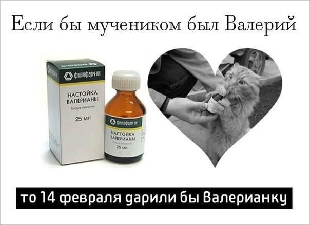 b688aa0b216bce0db53bcbf57f87c9b3.jpg