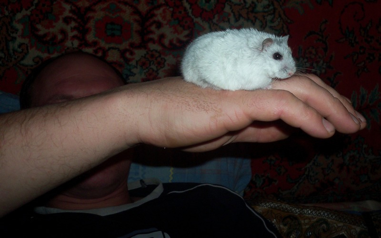 Плюша.✿◠‿◠)
